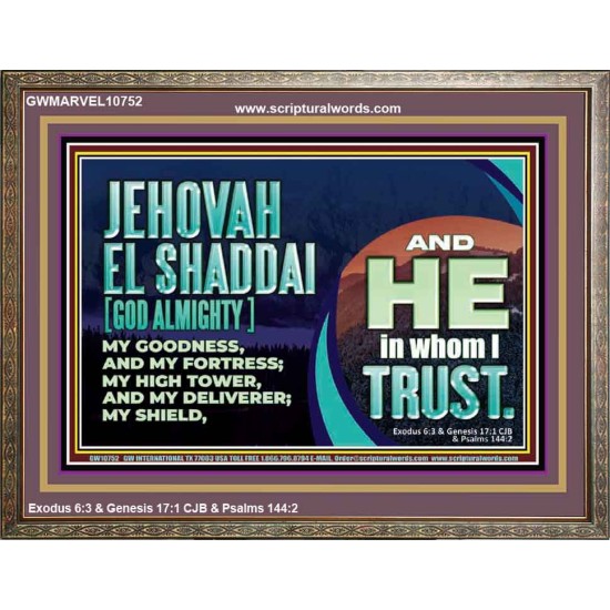 JEHOVAH EL SHADDAI GOD ALMIGHTY OUR GOODNESS FORTRESS HIGH TOWER DELIVERER AND SHIELD  Christian Quotes Wooden Frame  GWMARVEL10752  