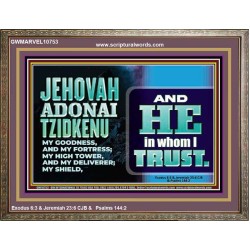 JEHOVAH ADONAI TZIDKENU OUR RIGHTEOUSNESS OUR GOODNESS FORTRESS HIGH TOWER DELIVERER AND SHIELD  Christian Quotes Wooden Frame  GWMARVEL10753  "36X31"