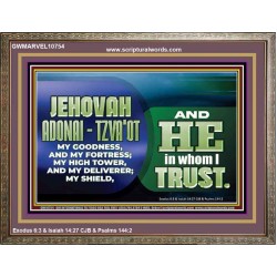 JEHOVAI ADONAI - TZVA'OT OUR GOODNESS FORTRESS HIGH TOWER DELIVERER AND SHIELD  Christian Quote Wooden Frame  GWMARVEL10754  "36X31"