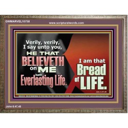 HE THAT BELIEVETH ON ME HATH EVERLASTING LIFE  Contemporary Christian Wall Art  GWMARVEL10758  "36X31"