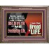 HE THAT BELIEVETH ON ME HATH EVERLASTING LIFE  Contemporary Christian Wall Art  GWMARVEL10758  "36X31"