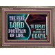 THE FEAR OF THE LORD IS A FOUNTAIN OF LIFE TO DEPART FROM THE SNARES OF DEATH  Scriptural Wooden Frame Wooden Frame  GWMARVEL10770  