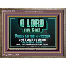 PURGE ME WITH HYSSOP AND I SHALL BE CLEAN  Biblical Art Wooden Frame  GWMARVEL11736  "36X31"