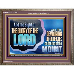 THE SIGHT OF THE GLORY OF THE LORD IS LIKE A DEVOURING FIRE ON THE TOP OF THE MOUNT  Righteous Living Christian Picture  GWMARVEL11748  "36X31"