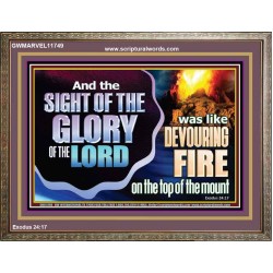 THE SIGHT OF THE GLORY OF THE LORD  Eternal Power Picture  GWMARVEL11749  "36X31"