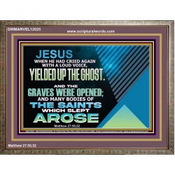 AND THE GRAVES WERE OPENED AND MANY BODIES OF THE SAINTS WHICH SLEPT AROSE  Sanctuary Wall Wooden Frame  GWMARVEL12025  "36X31"