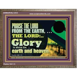 PRAISE THE LORD FROM THE EARTH  Children Room Wall Wooden Frame  GWMARVEL12033  "36X31"