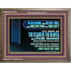 IN BLESSING I WILL BLESS THEE  Sanctuary Wall Wooden Frame  GWMARVEL12034  "36X31"