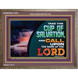 TAKE THE CUP OF SALVATION  Unique Scriptural Picture  GWMARVEL12036  "36X31"
