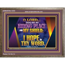THOU ART MY HIDING PLACE AND SHIELD  Bible Verses Wall Art Wooden Frame  GWMARVEL12045  "36X31"