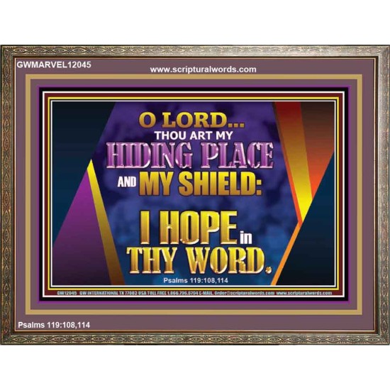 THOU ART MY HIDING PLACE AND SHIELD  Bible Verses Wall Art Wooden Frame  GWMARVEL12045  
