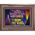 THOU ART MY HIDING PLACE AND SHIELD  Bible Verses Wall Art Wooden Frame  GWMARVEL12045  "36X31"