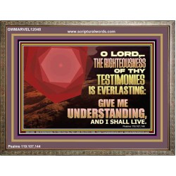THE RIGHTEOUSNESS OF THY TESTIMONIES IS EVERLASTING O LORD  Religious Wall Art   GWMARVEL12048  "36X31"