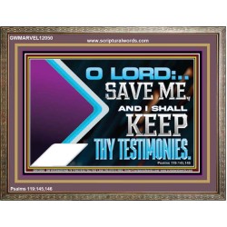 SAVE ME AND I SHALL KEEP THY TESTIMONIES  Wall Décor Wooden Frame  GWMARVEL12050  