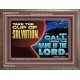 TAKE THE CUP OF SALVATION  Art & Décor Wooden Frame  GWMARVEL12152  