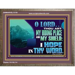 THOU ART MY HIDING PLACE AND SHIELD  Large Custom Wooden Frame   GWMARVEL12159  "36X31"