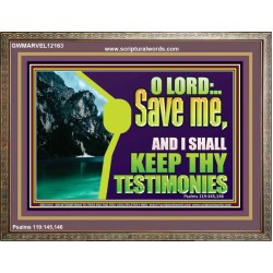 SAVE ME AND I SHALL KEEP THY TESTIMONIES  Inspirational Bible Verses Wooden Frame  GWMARVEL12163  