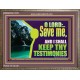 SAVE ME AND I SHALL KEEP THY TESTIMONIES  Inspirational Bible Verses Wooden Frame  GWMARVEL12163  