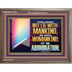 THOU SHALT NOT LIE WITH MANKIND AS WITH WOMANKIND IT IS ABOMINATION  Bible Verse for Home Wooden Frame  GWMARVEL12169  "36X31"