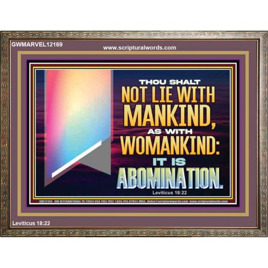 THOU SHALT NOT LIE WITH MANKIND AS WITH WOMANKIND IT IS ABOMINATION  Bible Verse for Home Wooden Frame  GWMARVEL12169  