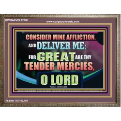 GREAT ARE THY TENDER MERCIES O LORD  Unique Scriptural Picture  GWMARVEL12180  "36X31"