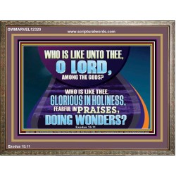FEARFUL IN PRAISES DOING WONDERS  Ultimate Inspirational Wall Art Wooden Frame  GWMARVEL12320  "36X31"