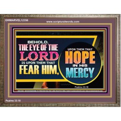 THE EYE OF THE LORD IS UPON THEM THAT FEAR HIM  Church Wooden Frame  GWMARVEL12356  "36X31"