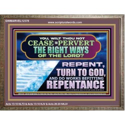WILT THOU NOT CEASE TO PERVERT THE RIGHT WAYS OF THE LORD  Unique Scriptural Wooden Frame  GWMARVEL12378  