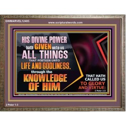 HIS DIVINE POWER HATH GIVEN UNTO US ALL THINGS  Eternal Power Wooden Frame  GWMARVEL12405  "36X31"