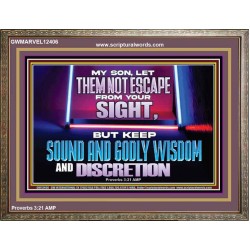 KEEP SOUND AND GODLY WISDOM AND DISCRETION  Church Wooden Frame  GWMARVEL12406  "36X31"