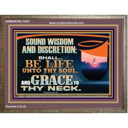 SOUND WISDOM AND DISCRETION SHALL BE LIFE UNTO THY SOUL  Children Room Wall Wooden Frame  GWMARVEL12407  "36X31"