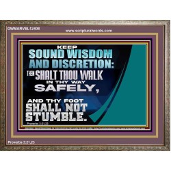 THY FOOT SHALL NOT STUMBLE  Sanctuary Wall Wooden Frame  GWMARVEL12408  "36X31"