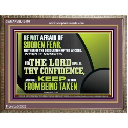 THE LORD SHALL BE THY CONFIDENCE  Unique Scriptural Wooden Frame  GWMARVEL12410  "36X31"