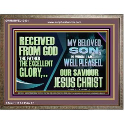 MY BELOVED SON IN WHOM I AM WELL PLEASED OUR SAVIOUR JESUS CHRIST  Eternal Power Wooden Frame  GWMARVEL12431  "36X31"