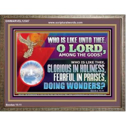 WHO IS LIKE THEE GLORIOUS IN HOLINESS  Unique Scriptural Wooden Frame  GWMARVEL12587  "36X31"