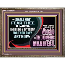 ALL NATIONS SHALL COME AND WORSHIP BEFORE THEE  Christian Wooden Frame Art  GWMARVEL12701  