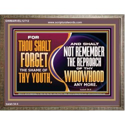 THOU SHALT FORGET THE SHAME OF THY YOUTH  Encouraging Bible Verse Wooden Frame  GWMARVEL12712  "36X31"