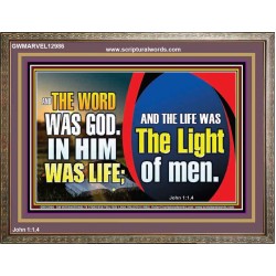 THE WORD WAS GOD IN HIM WAS LIFE THE LIGHT OF MEN  Unique Power Bible Picture  GWMARVEL12986  "36X31"