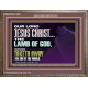 THE LAMB OF GOD WHICH TAKETH AWAY THE SIN OF THE WORLD  Children Room Wall Wooden Frame  GWMARVEL12991  