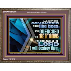 QUENCHED AS THE FIRE OF THORNS IN THE NAME OF THE LORD  Unique Power Bible Wooden Frame  GWMARVEL13031  "36X31"