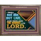 I SHALL NOT DIE BUT LIVE AND DECLARE THE WORKS OF THE LORD  Eternal Power Wooden Frame  GWMARVEL13034  