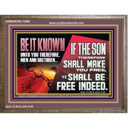 IF THE SON THEREFORE SHALL MAKE YOU FREE  Ultimate Inspirational Wall Art Wooden Frame  GWMARVEL13066  "36X31"