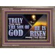 TRULY THIS WAS THE SON OF GOD HE IS RISEN FROM THE DEAD  Sanctuary Wall Wooden Frame  GWMARVEL13092  