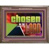 CHOSEN IN THE LORD  Wall Décor Wooden Frame  GWMARVEL13099  "36X31"