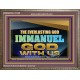 THE EVERLASTING GOD IMMANUEL..GOD WITH US  Scripture Art Wooden Frame  GWMARVEL13134B  