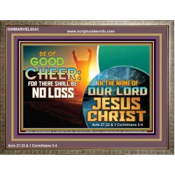 THERE SHALL BE NO LOSS  Righteous Living Christian Wooden Frame  GWMARVEL9543  "36X31"