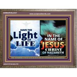 HAVE THE LIGHT OF LIFE  Sanctuary Wall Wooden Frame  GWMARVEL9547  "36X31"
