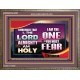 THE ONE YOU MUST FEAR IS LORD ALMIGHTY  Unique Power Bible Wooden Frame  GWMARVEL9566  