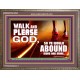 WALK AND PLEASE GOD  Scripture Art Wooden Frame  GWMARVEL9594  