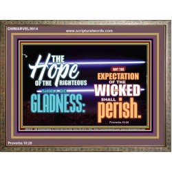 THE HOPE OF RIGHTEOUS IS GLADNESS  Scriptures Wall Art  GWMARVEL9914  "36X31"